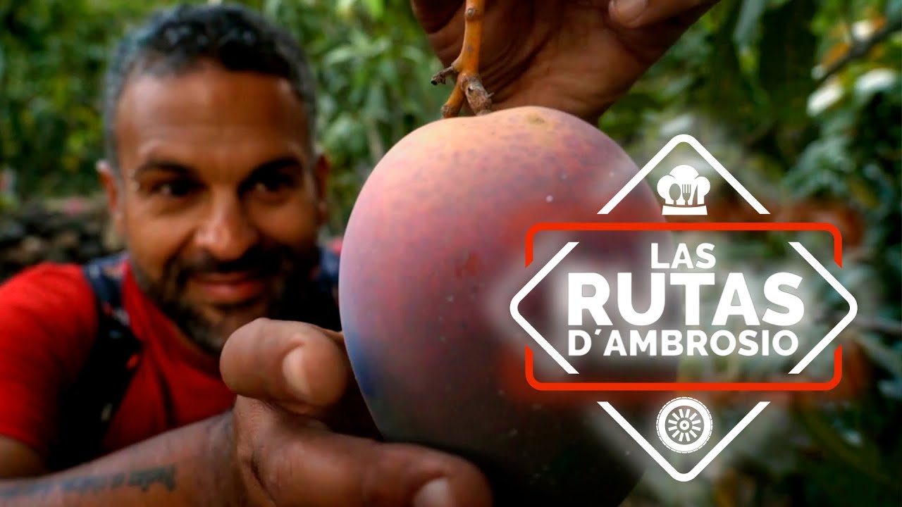 Canarias - Rutas D’Ambrosio | La2