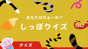 動物の名前 Youtube 動物の名前 Youtube