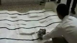 ECE Senior Design Project: Topology Robot