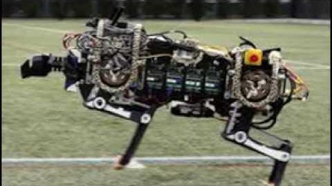 5 Fastest Robots In The World