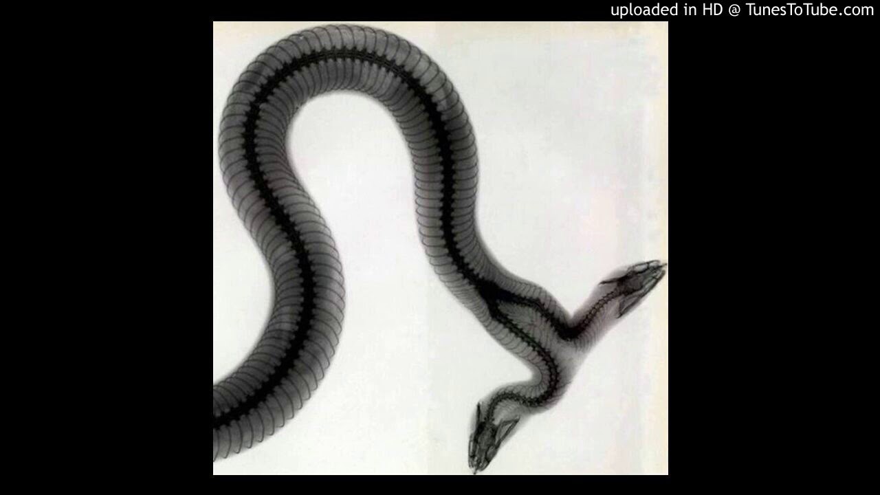 [FREE] YUNG MAL X LIL GOTIT TYPE BEAT SNAKES PROD. YUNG RAVN