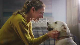 Man's Best Friend: A Canine Chronicle