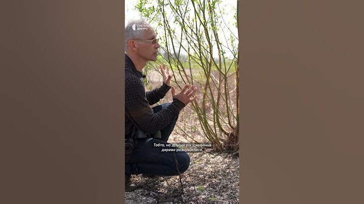 «Дерева змінюють тактику виживання про колишнє Каховське водосховище» - Вадим Манюк про Великий Луг