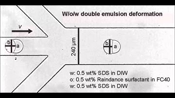 Deformation of double emulsions under conditions of flow cytometry hydrodynamic focusing
