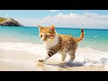 Therapy music for stressed catssoothing music for cats with nature sounds that give comfort to cats