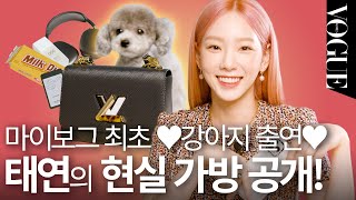 [마이보그] 반려견과 함께한 태연의 마이보그!🐶 제로야 카메라 등지는 거 아니야~🥺💕 ㅣMY VOGUE (캐러멜, 헤드폰, 카드 지갑, 향수, 손 소독제 추천)