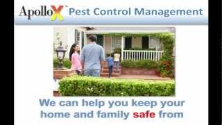 Pest Control Management Greenwich, Westport, CT