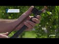 How to assemble a Pulsar™ micro sprinkler | Netafim