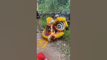 Múa xong là phải đốt thôi anh em #mualan #liondance #langiare #lsrbinhminh lanbinhminh #homiesquad