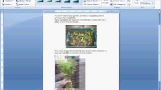 Inserting Images.flv