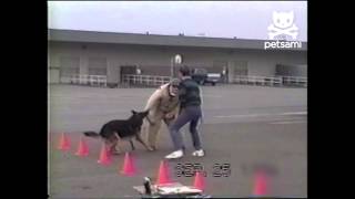 Police dog training blooper