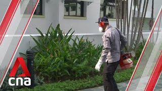 Pest control firms battling dengue face manpower crunch amid COVID-19 outbreak