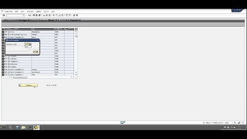 SAP FI - Assign Company Code to Chart of Accounts
