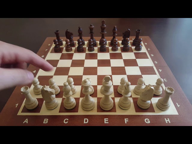 تعلم الشطرنج من الألف الى الياء - YouTube