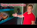 Сила астронотуса