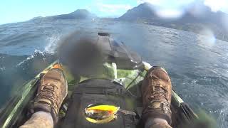 Intentando Pescar - Buscando pescar un Chinook