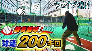 【球速200Km/h】まるで鉄球！ "ウェイブ避け"に挑戦！＊絶対に真似るな危険！！