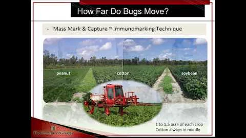 Michael D. Toews, Stink Bug Dispersal and Manageme...