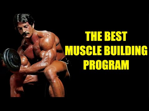 THE BEST MUSCLE BUILDING PROGRAM (CHEST, BACK, DELTS, ARMS, LEGS) #mikementzer  #gym  #motivation