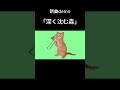 【新曲demo】深く沈む森 / TEAPOT #originalsong #オリジナル曲