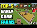 Top 5 early game farms minecraft  120