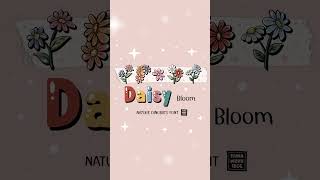 Daisy Bloom‪ | Dingbats Font‬ by Tamawuku 18CC | https://linktr.ee/tamawuku