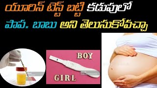 gender predict with urine test  its true/not//baby boy urine test during pregnancy in telugu
