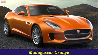 Jaguar F-Type Colour Options 2020 | FType Brown Red Silver Golden White Black Blue