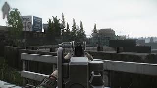 Escape From Tarkov SA-58 iron sights long headshot