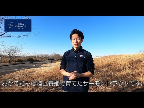 水替え不要の陸上養殖サーモン「おかそだち」