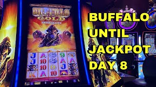 CRAZIEST BONUS WIN(S) | Buffalo until Jackpot DAY 8