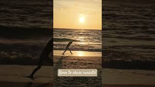 Born to chase sunsets! #beach #beachvibes #beachlife #sunset #cartwheels