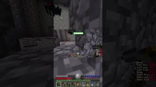 Spiders Don't Take Fall Damage Right?  #thekiwigamer #minecraft #rlcraft