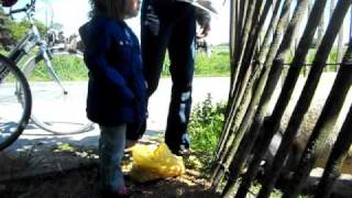 20110502filmpje (2).AVI