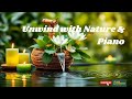 Relaxing Piano Music & Water Sounds for Deep Relaxation, Study, or Sleep