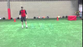 Continuous M:L Hurdle Hop