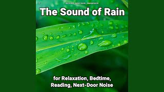 Rain Sounds for Studying