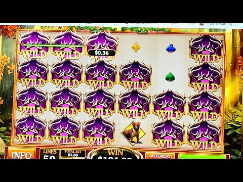 CASINO BET365 - SUPER BIG WIN