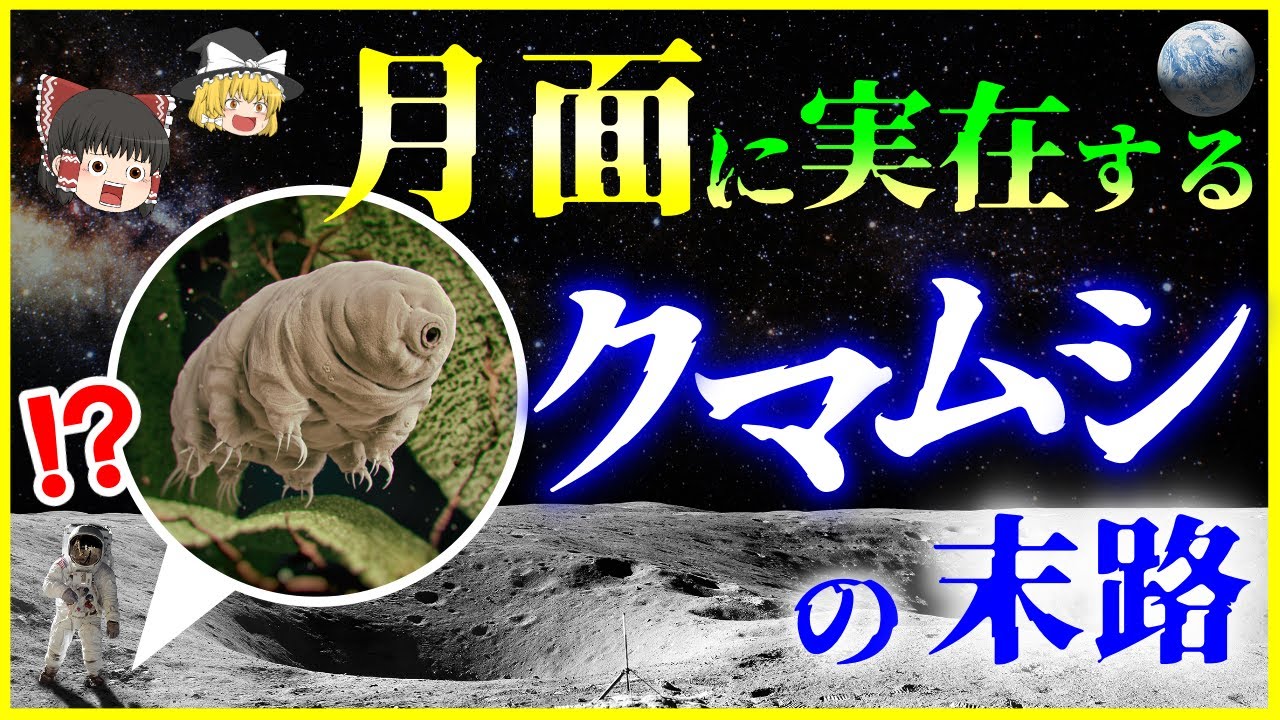 月へ行ったクマムシのお話 ネタこもりブログ