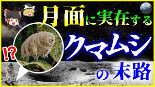 【ゆっくり解説】クマムシが月で繁殖！？現代のノアの方舟の末路を解説/最強生物「クマムシ」は月面でどうなったのか…？