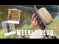 Weekly vlog  decor shopping land clearing bbq ayden goes fishing  familyvlog family fyp