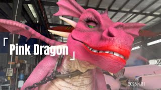 DCDR016-Shrek with the Pink Dragon Stage Costume