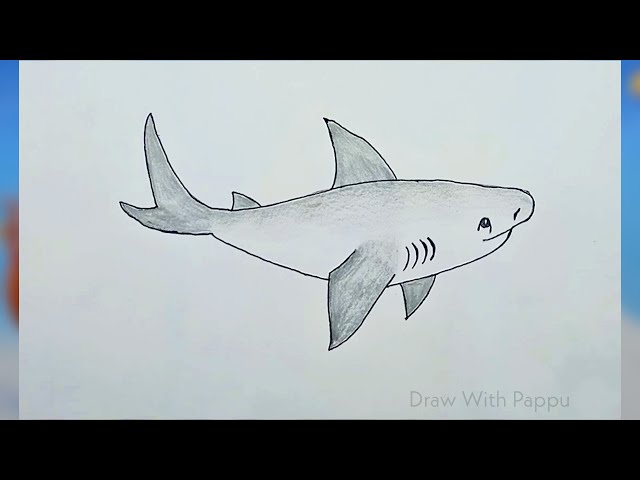 How to Draw a Shark (Easy Step by Step) - Crafty Morning