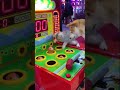 猫よ落ち着け!モグラたたきゲームに熱中しすぎた猫