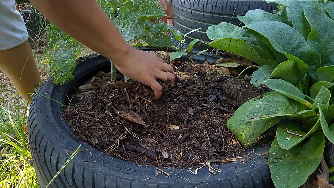Filling raised tire beds with free soil mix How to Garden in Tires