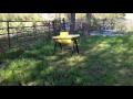 News top bar hive delivered in rogers Arkansas 3/6/17