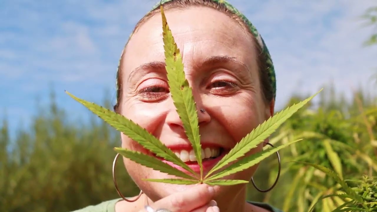 Hemp Higher Yoga Video   Final