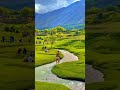 Fairy Meadows, the 8th wonder #viralvideo #Mountains #pakistan #travelvlog #ytshorts