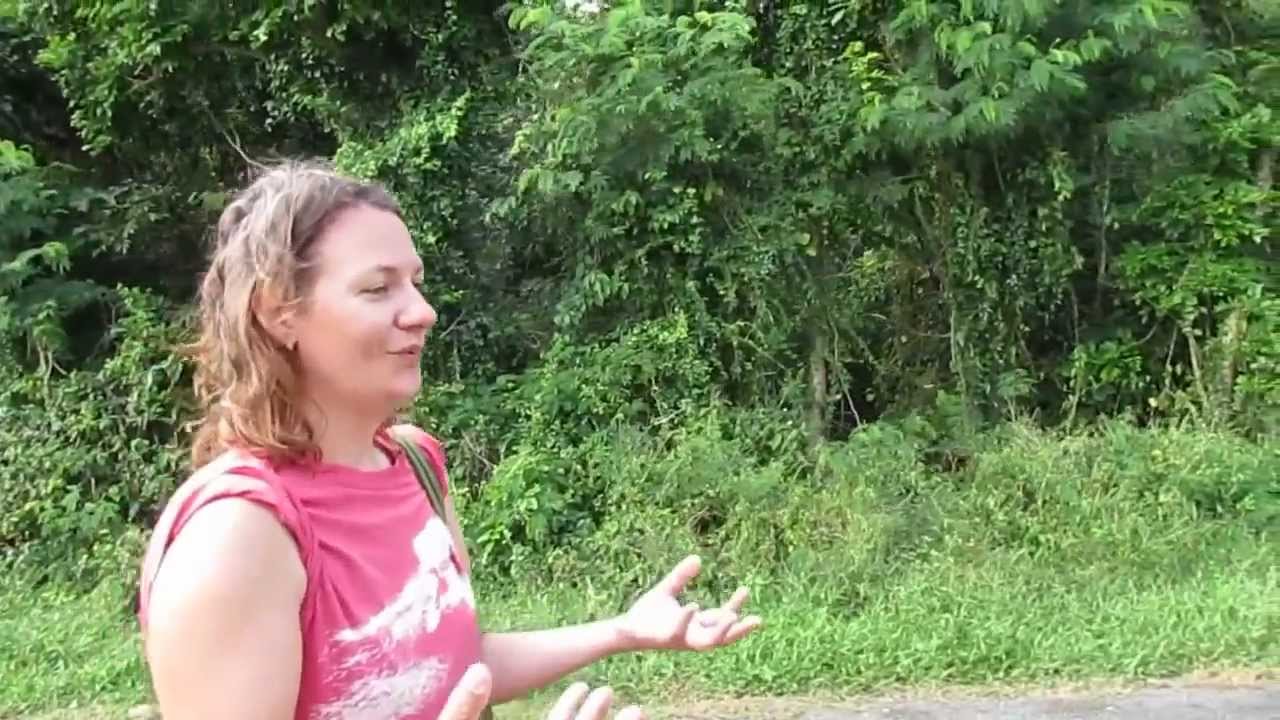 10. Exploring Tortola aboard Bella Luna (Swan 48 Sailboat)