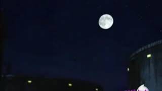 Transformers Prime - Gangsta Y Amv